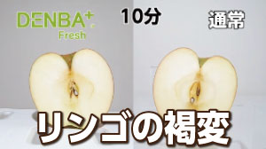 DENBA Fresh
褐変（かっぺん）実験