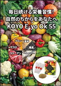 KOYO_EyoOk55チラシ