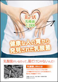 美e活乳酸菌LJ88チラシ