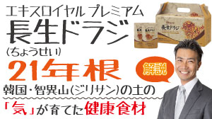 長生ドラジ21年根には、通常のドラジにはわずかしか含まれていない、21種類以上のテルペノイド系サポニン・イヌリンという多糖類などが多く含まれています。