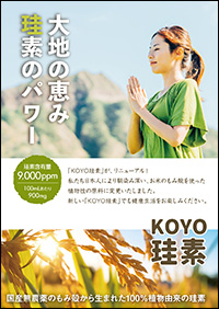 コーヨ珪素チラシ