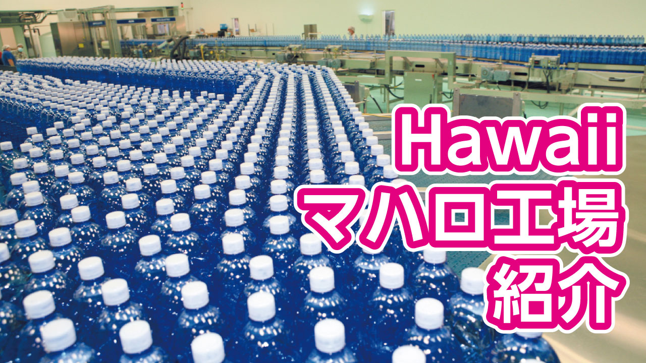 Hawaii マハロ工場紹介