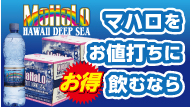 マハロをお値打ちに飲むなら