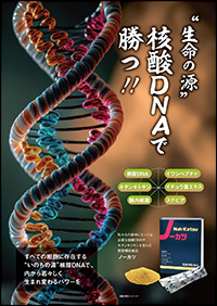 ノーカツチラシ