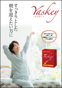 Yaskey チラシ
