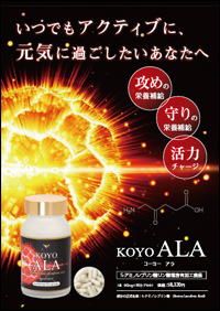 KOYO ALA チラシ
