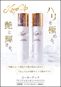 KOYOUP チラシ