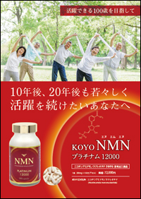 KOYO NMN チラシ