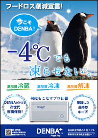 DENBA Fresh チラシ