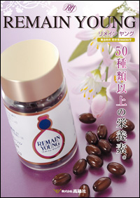 リメインヤング チラシ