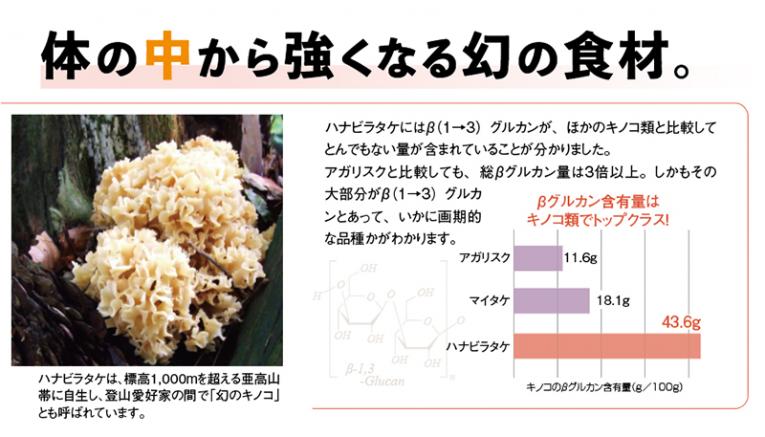 乳酸発酵 ハナビラタケ 和楽寿(わらくじゅ)